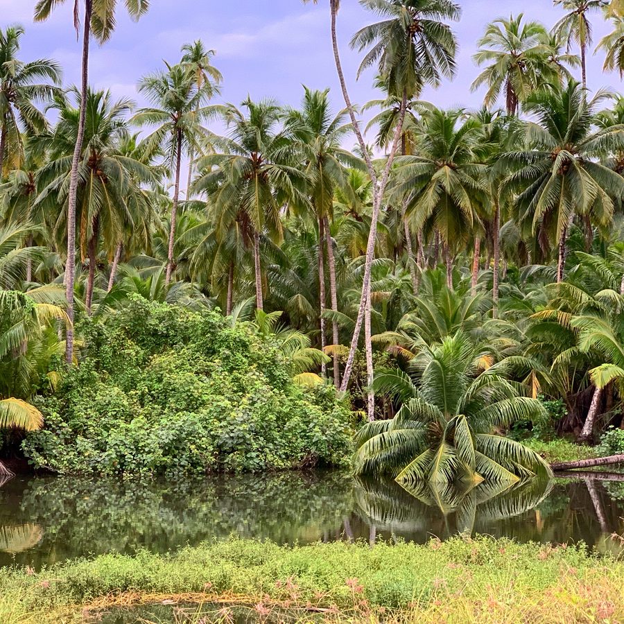 Island Resort, Andamans