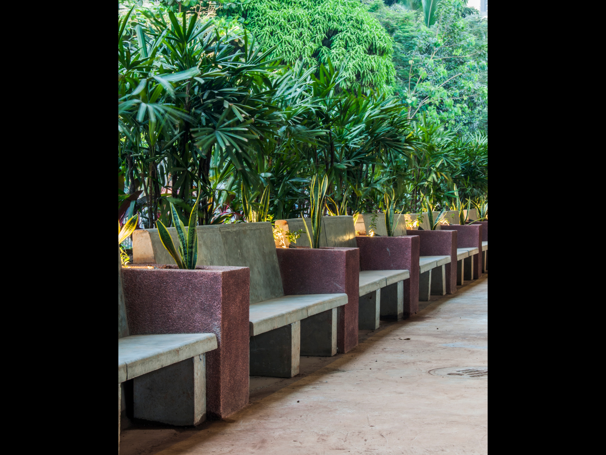 Nepeansea Road — Urban Design by Studio Pomegranate