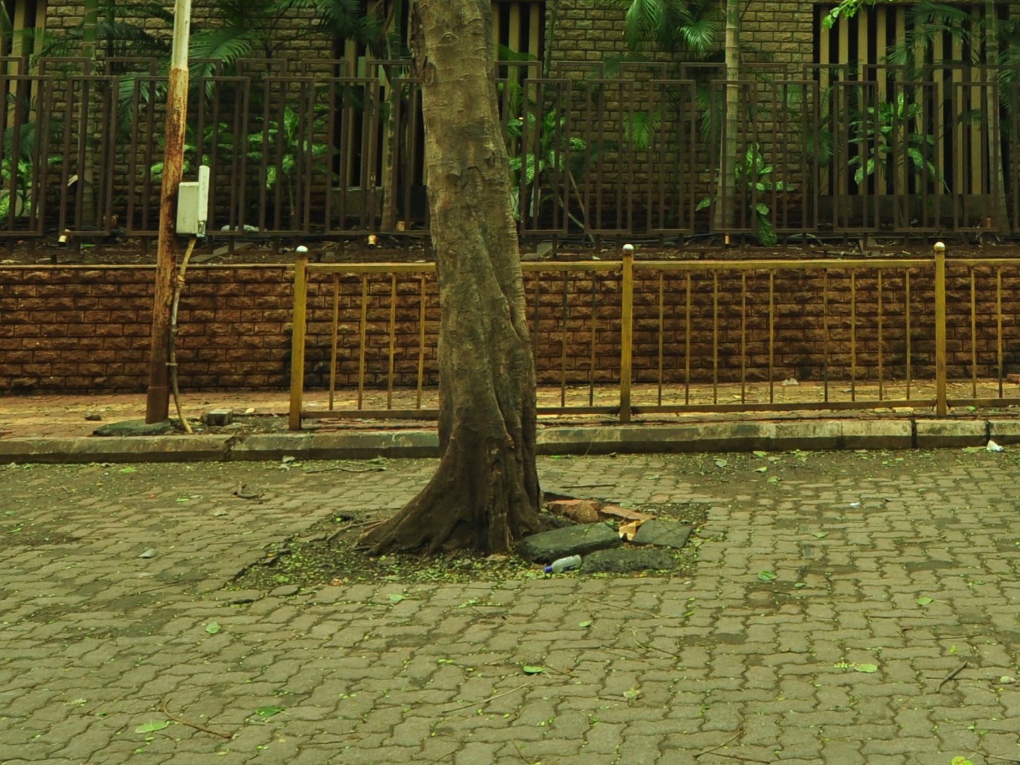 Walking spaces in Dadar — Urban Design by Studio Pomegranate